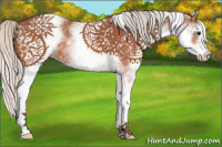 Horse Color:White Spotted Silver Bay 