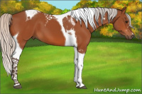 Horse Color:Silver Bay Tobiano 