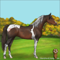 Horse Color:Liver Chestnut Tobiano 