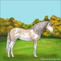 Horse Color:White Spotted Silver Sable Champagne Dun Splash Frame 