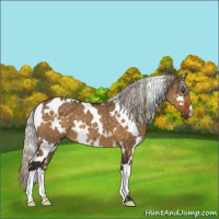 Horse Color:White Spotted Silver Buckskin Dun