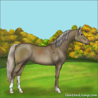 Horse Color:Silver Smoky Grullo Sabino 