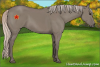 Horse Color:Silver Grullo 