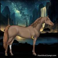 Horse Color:Liver Red Dun Rabicano 