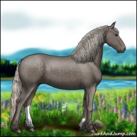 Horse Color:Silver Black 