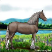 Horse Color:Silver Black 