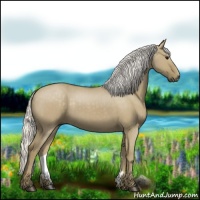 Horse Color:Silver Smoky Grullo 
