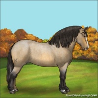Horse Color:Buckskin Roan Splash 