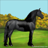 Horse Color:Void Black Tobiano 