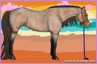 Horse Color:Bay Roan Varnish
