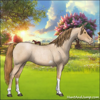 Horse Color:Red Roan Pearl Tobiano Frame 