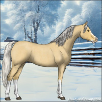 Horse Color:Silver Buckskin Roan Splash 