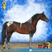 Horse Color:Brown Tobiano Rabicano