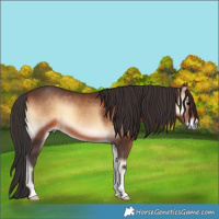 Horse Color:Brown Onyx 