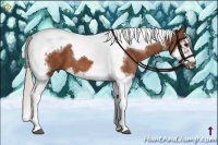 Horse Color:Silver Bay Splash Tobiano Frame  Brindle