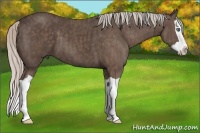 Horse Color:Silver Black Splash  Brindle
