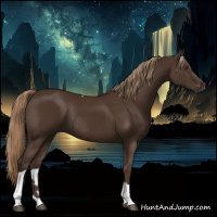Horse Color:Liver Chestnut Tobiano Rabicano