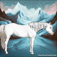 Horse Color:Smoky Black Appaloosa 