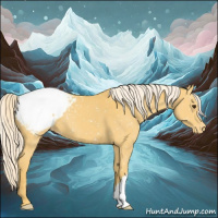 Horse Color:Palomino Appaloosa