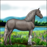 Horse Color:Silver Black 