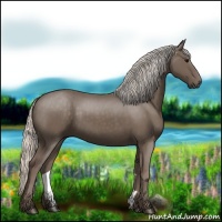 Horse Color:Silver Black 