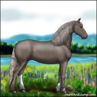 Horse Color:Silver Black 