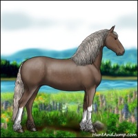 Horse Color:Silver Black 