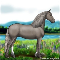 Horse Color:Silver Grullo 