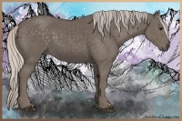 Horse Color:Silver Black 