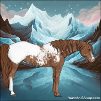 Horse Color:Chestnut Snowcap 