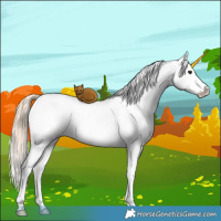 Horse Color:Chocolate Palomino Onyx Tobiano Appaloosa Brindle