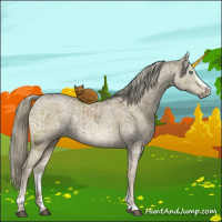 Horse Color:Chocolate Palomino Ice Dun Mushroom Sabino Brindle 