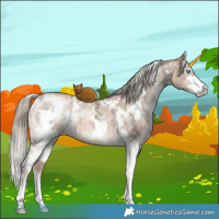 Horse Color:White Spotted Liver Red Dun Ice Pearl Mushroom Sabino Brindle