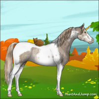 Horse Color:Liver Red Dun Ice Sabino Tobiano Rabicano Brindle 