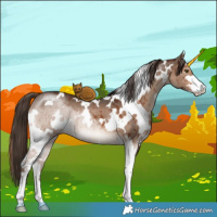 Horse Color:White Spotted Liver Red Dun Sabino Brindle 