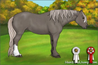 Horse Color:Silver Blue Roan 
