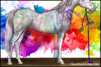 Horse Color:Painted Plaid  White Spotted Silver Buckskin Ice Pearl Dun Mushroom Tobiano Rabicano 
