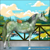 Horse Color:Painted Watercolor White Spotted Brown Ice Dun Tobiano 