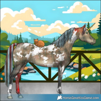 Horse Color:Painted Plaid  White Spotted Brown Dun Mushroom 