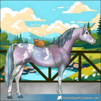 Horse Color:Painted Watercolor White Spotted Silver Brown Onyx Sabino Brindle 