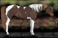 Horse Color:Liver Chestnut Tobiano 