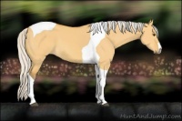Horse Color:Silver Buckskin Dun Tobiano 