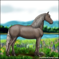 Horse Color:Silver Black 