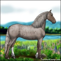 Horse Color:Silver Blue Roan 