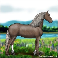 Horse Color:Silver Black 