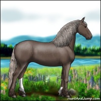 Horse Color:Silver Black 