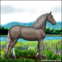 Horse Color:Silver Black 
