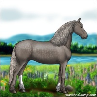 Horse Color:Silver Black 