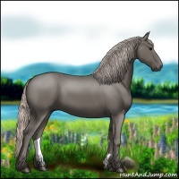 Horse Color:Silver Black 