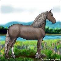 Horse Color:Silver Black 
